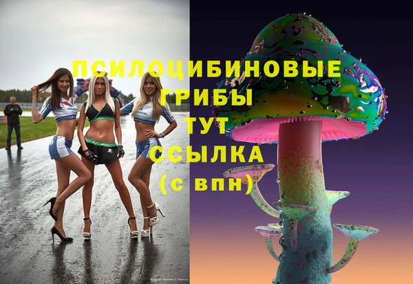 героин Михайлов