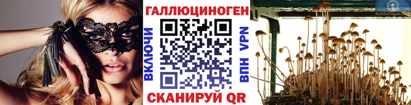 Галлюциногенные грибы Psilocybine cubensis даркнет сайт Ульяновск