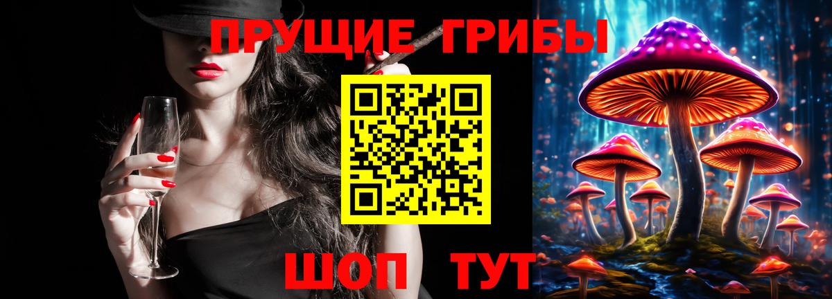 Ульяновск  Псилоцибиновые грибы Psilocybe  Вход с VPN 